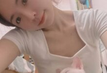 幼猫眼睛发炎-斯慕社