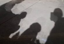 我妈交了新男友-斯慕社