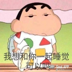 字母圈新人