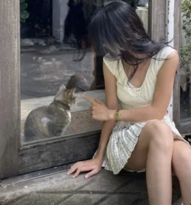 字母圈中的表演式示弱-斯慕圈